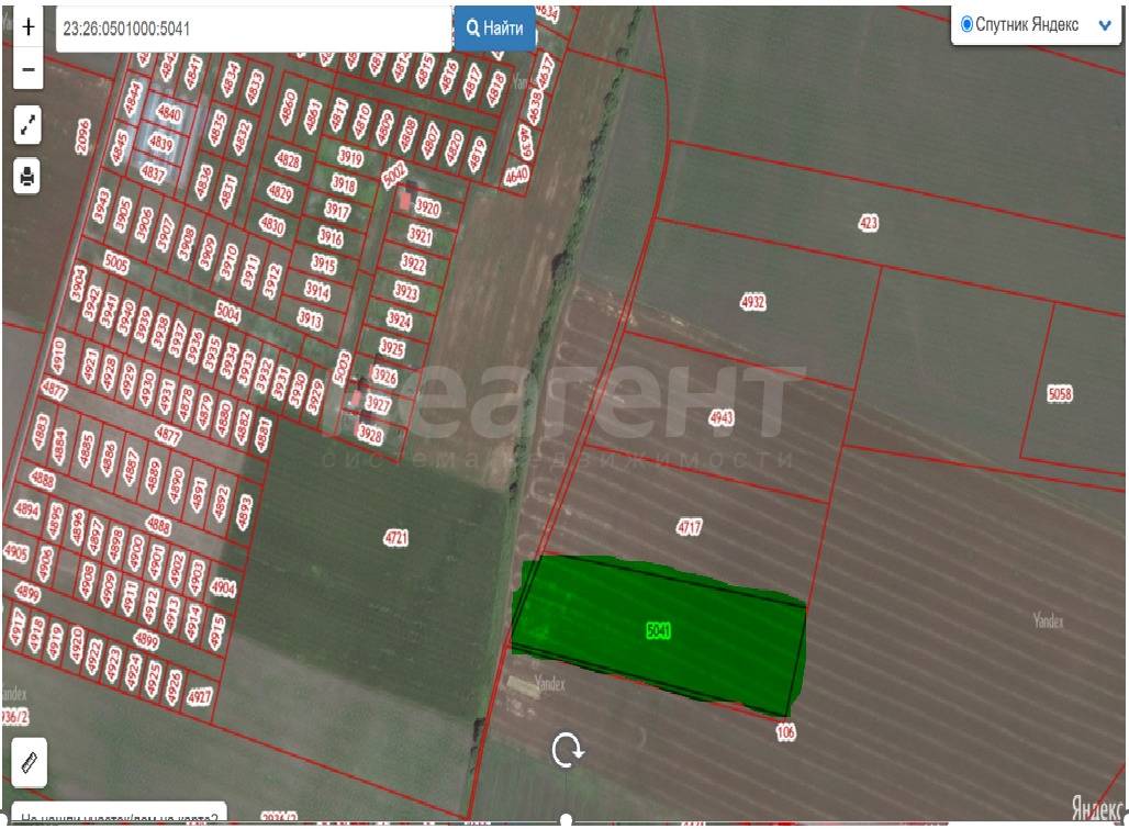 Фотография №4