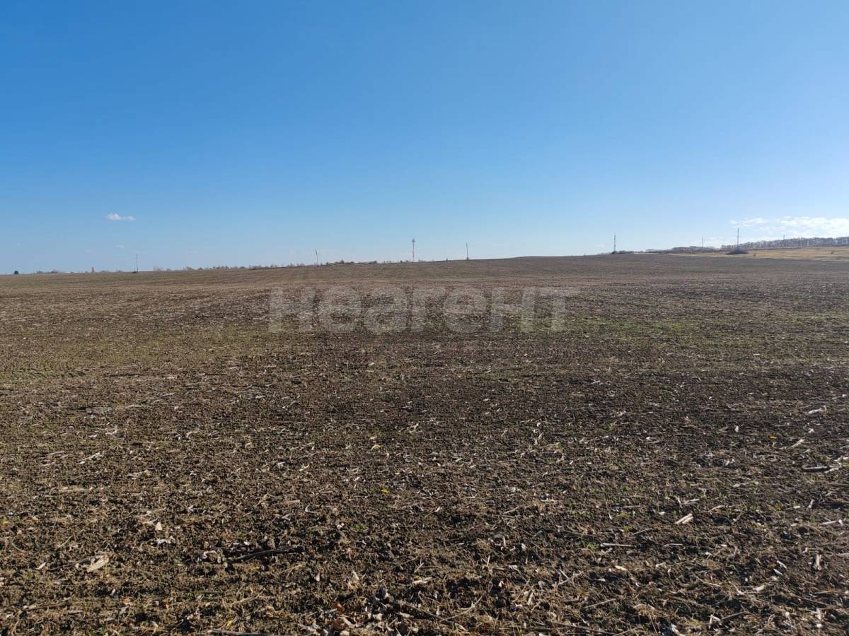 Фотография №5