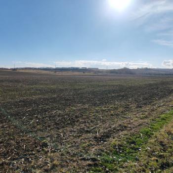 Продается Участок, 15000 м²