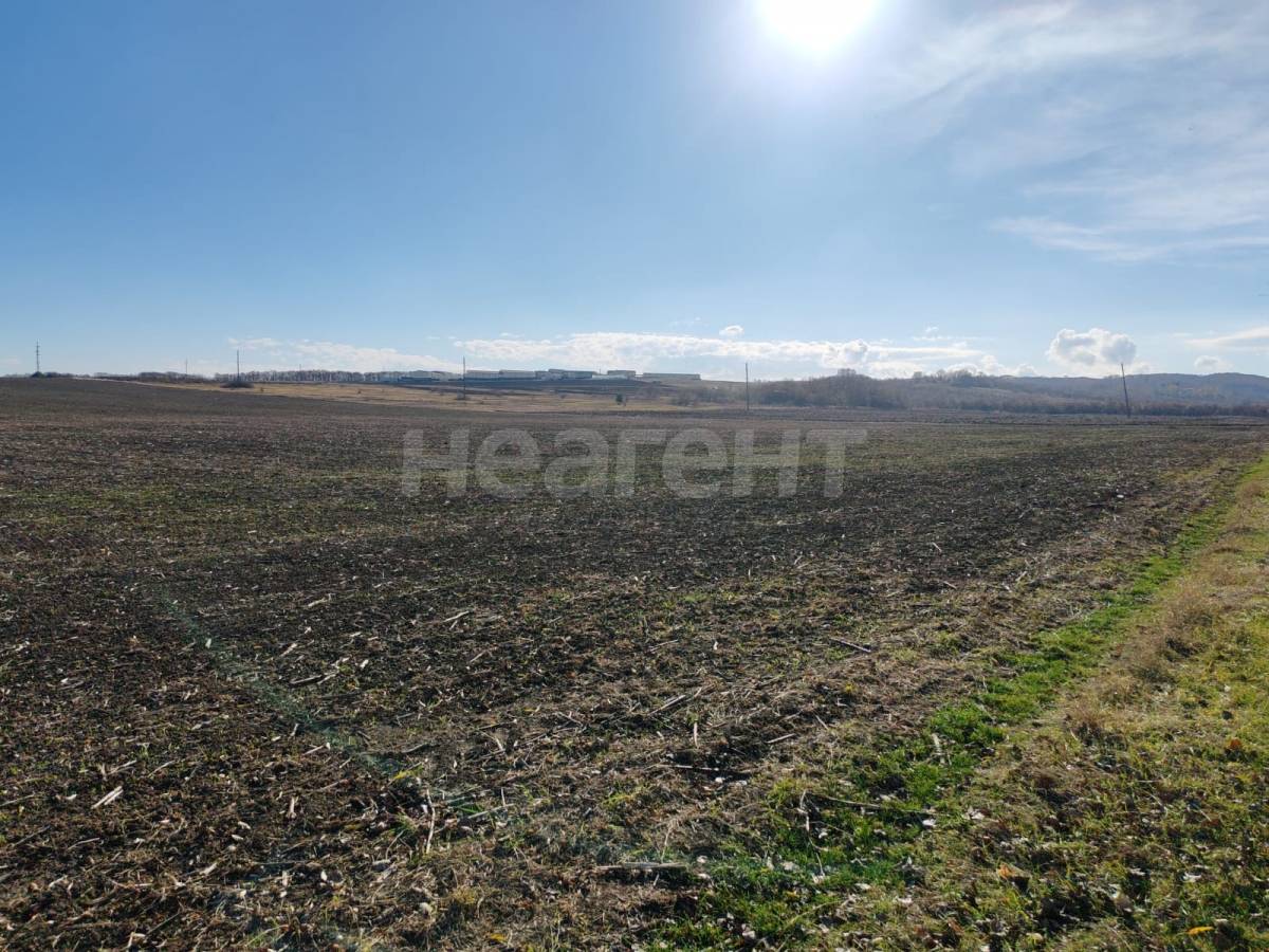 Фотография №6