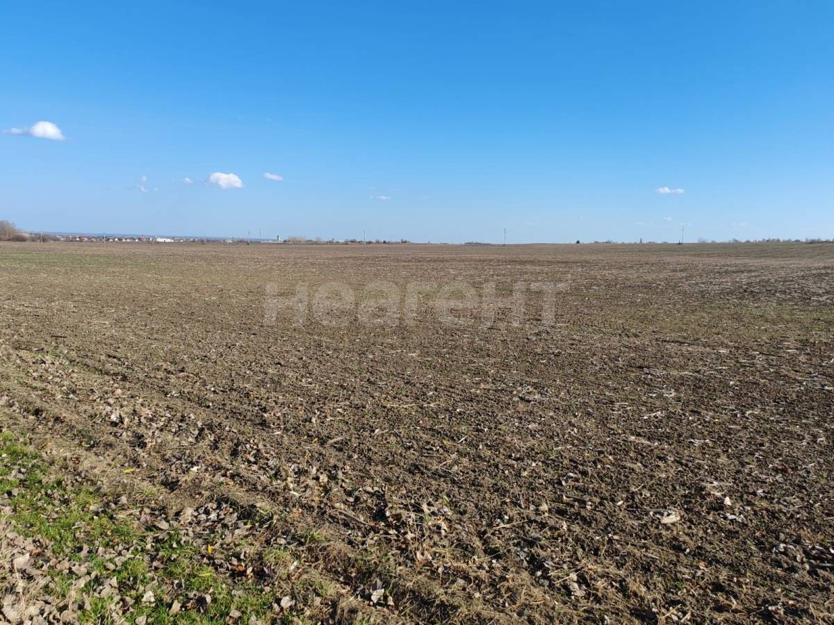 Фотография №7