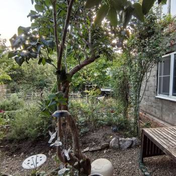 Продается Дом, 55 м²