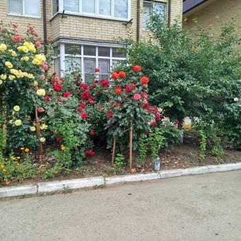 Продается 2-х комнатная квартира, 50 м²