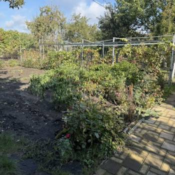 Продается Дом, 55 м²