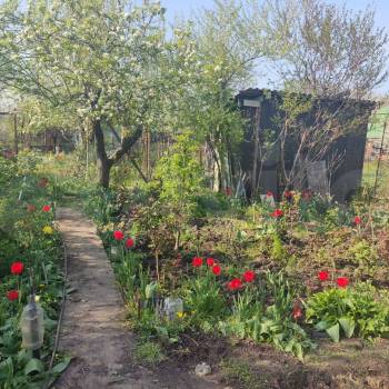 Продается Участок, 400 м²