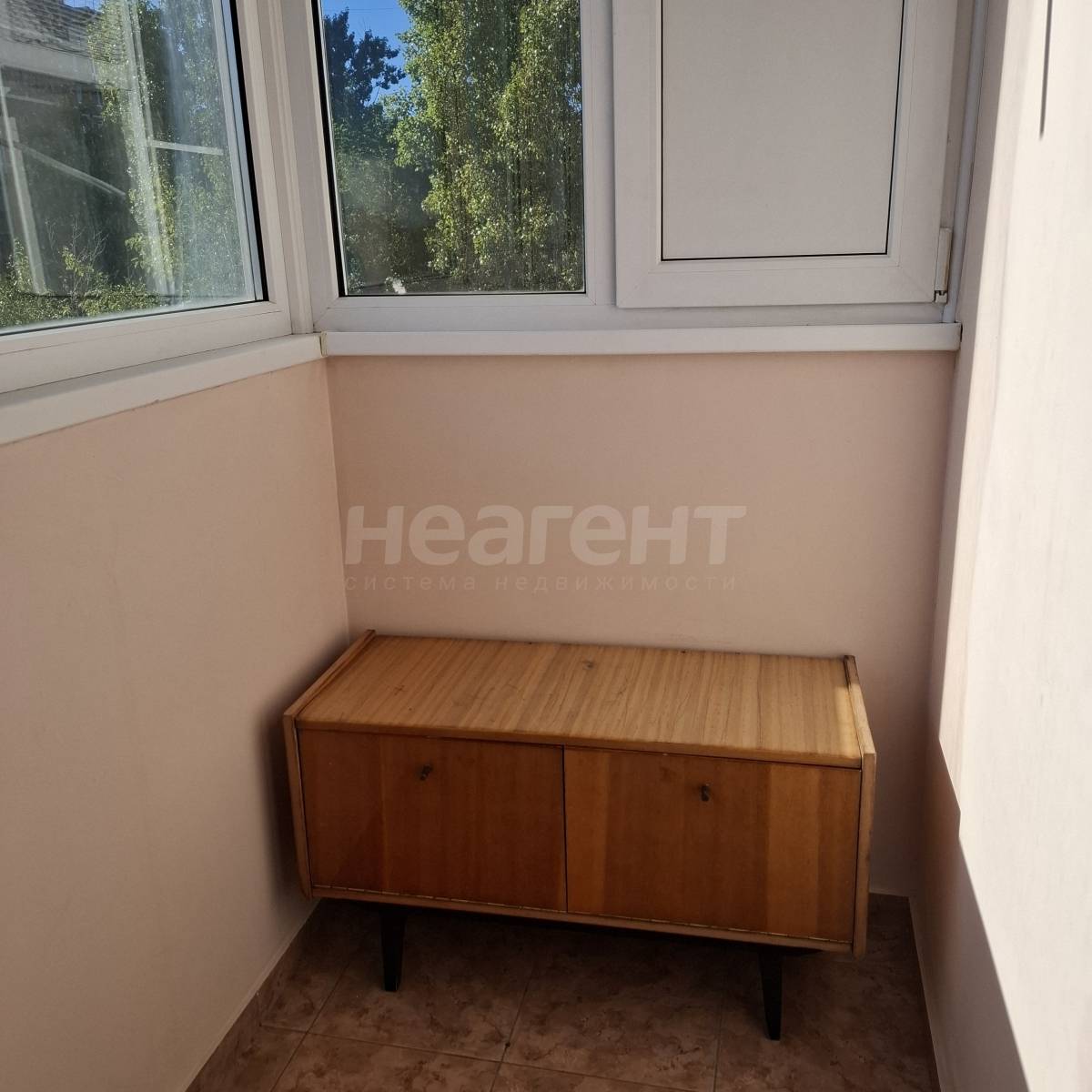 Фотография №5