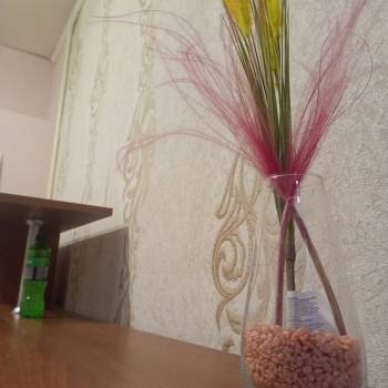 Сдается Дом, 20 м²