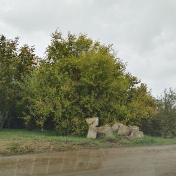 Продается Участок, 781 м²