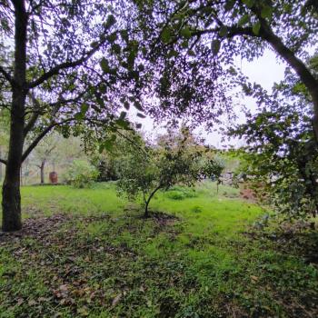 Продается Участок, 781 м²