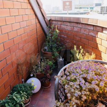 Сдается Многокомнатная квартира, 145 м²