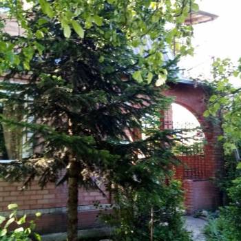 Сдается Дом, 60 м²