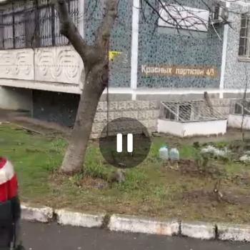 Продается Офис, 60 м²