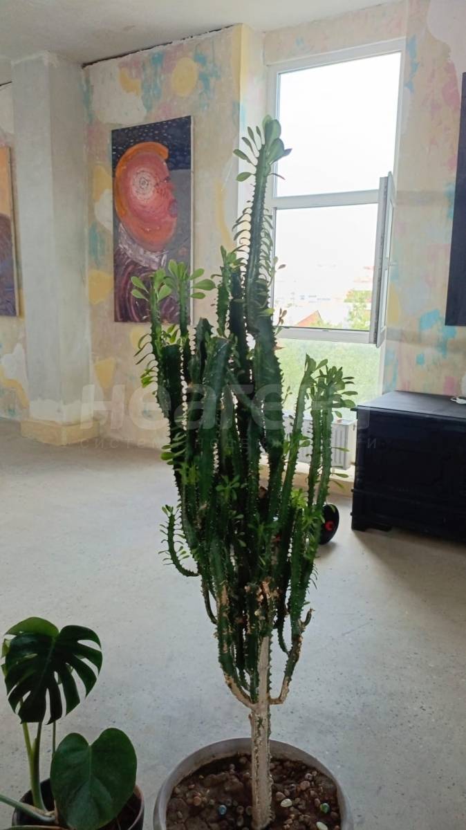 Фотография №5