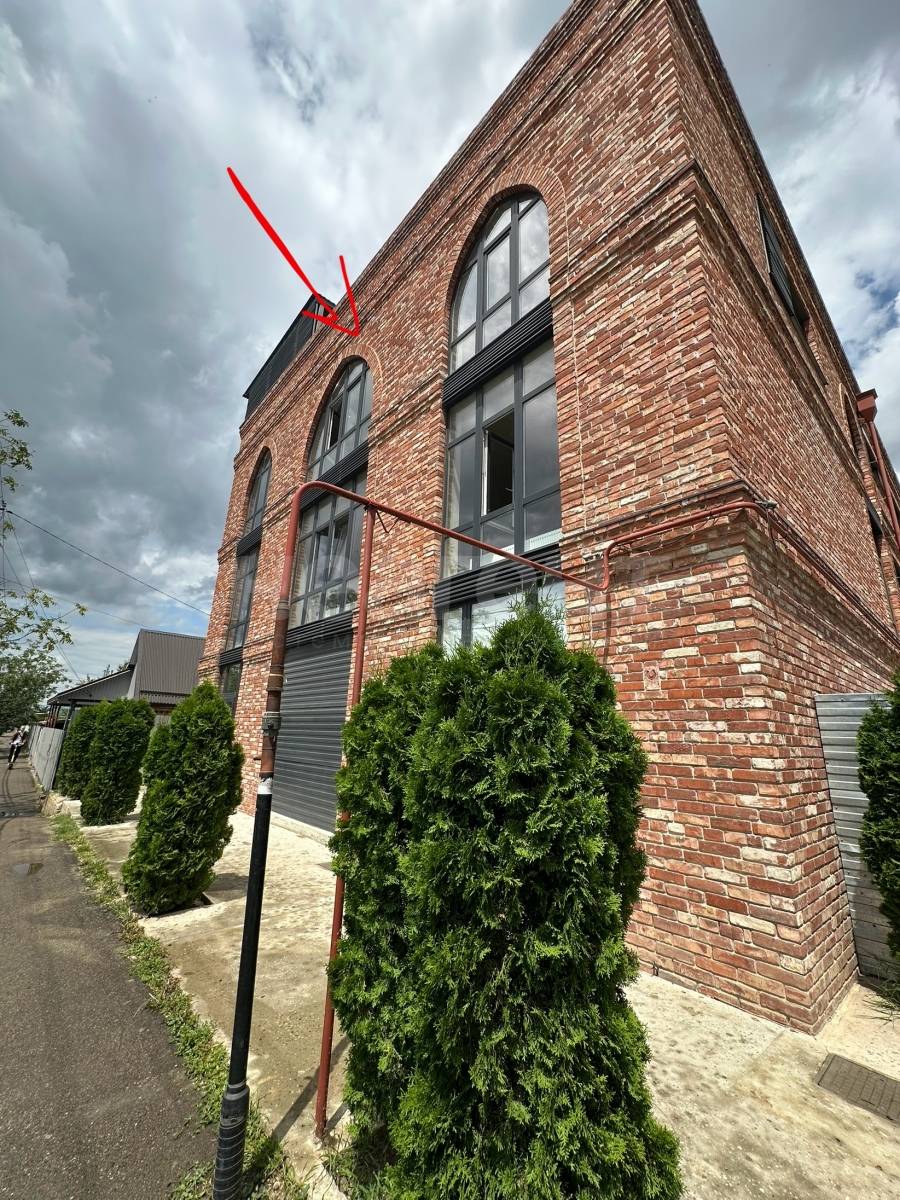 Фотография №8