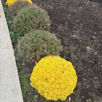 Продается Дом, 30 м²