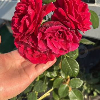 Продается Дом, 30 м²