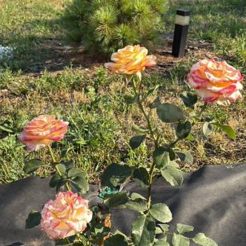 Продается Дом, 30 м²