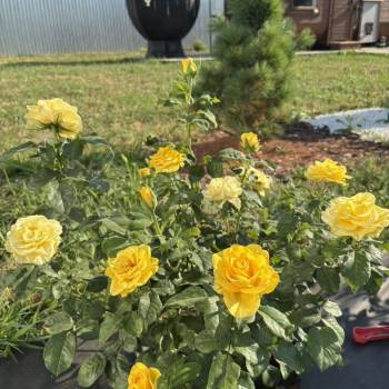 Продается Дом, 30 м²