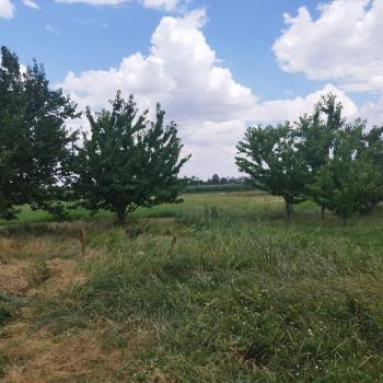 Продается Дом, 40,4 м²