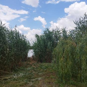 Продается Дом, 40,4 м²