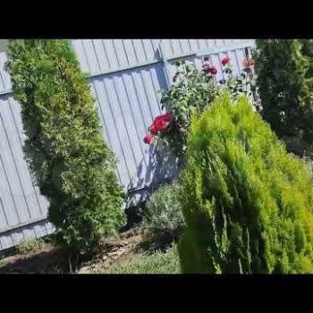 Сдается Дом, 110 м²