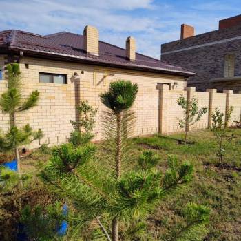 Сдается Дом, 110 м²