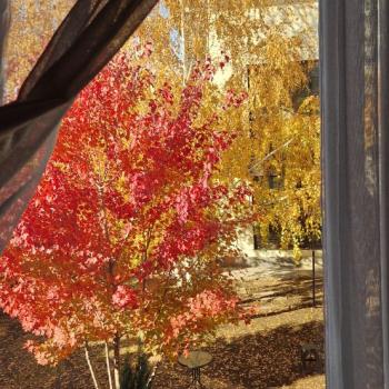 Продается Дом, 307 м²