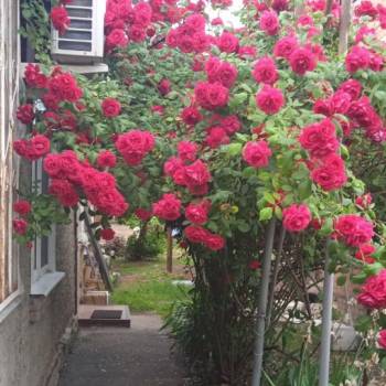 Продается Участок, 297 м²