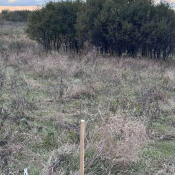 Продается Участок, 1000 м²