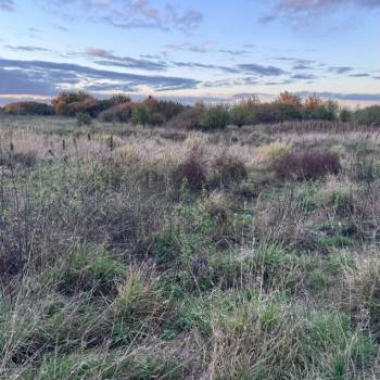 Продается Участок, 1000 м²