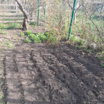 Продается Участок, 600 м²