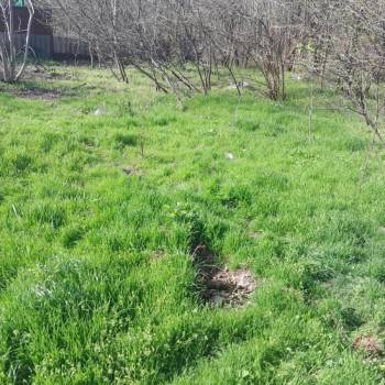 Продается Участок, 600 м²