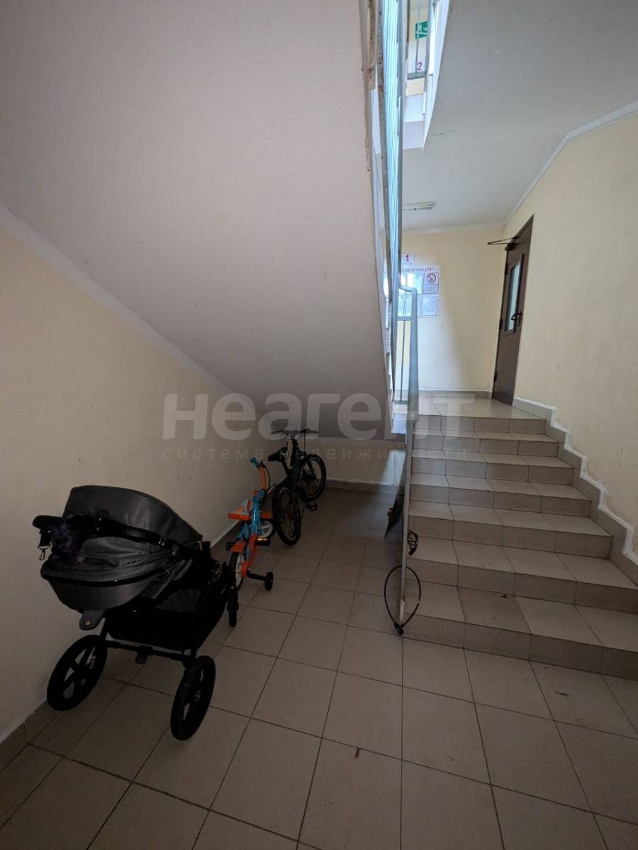 Фотография №5