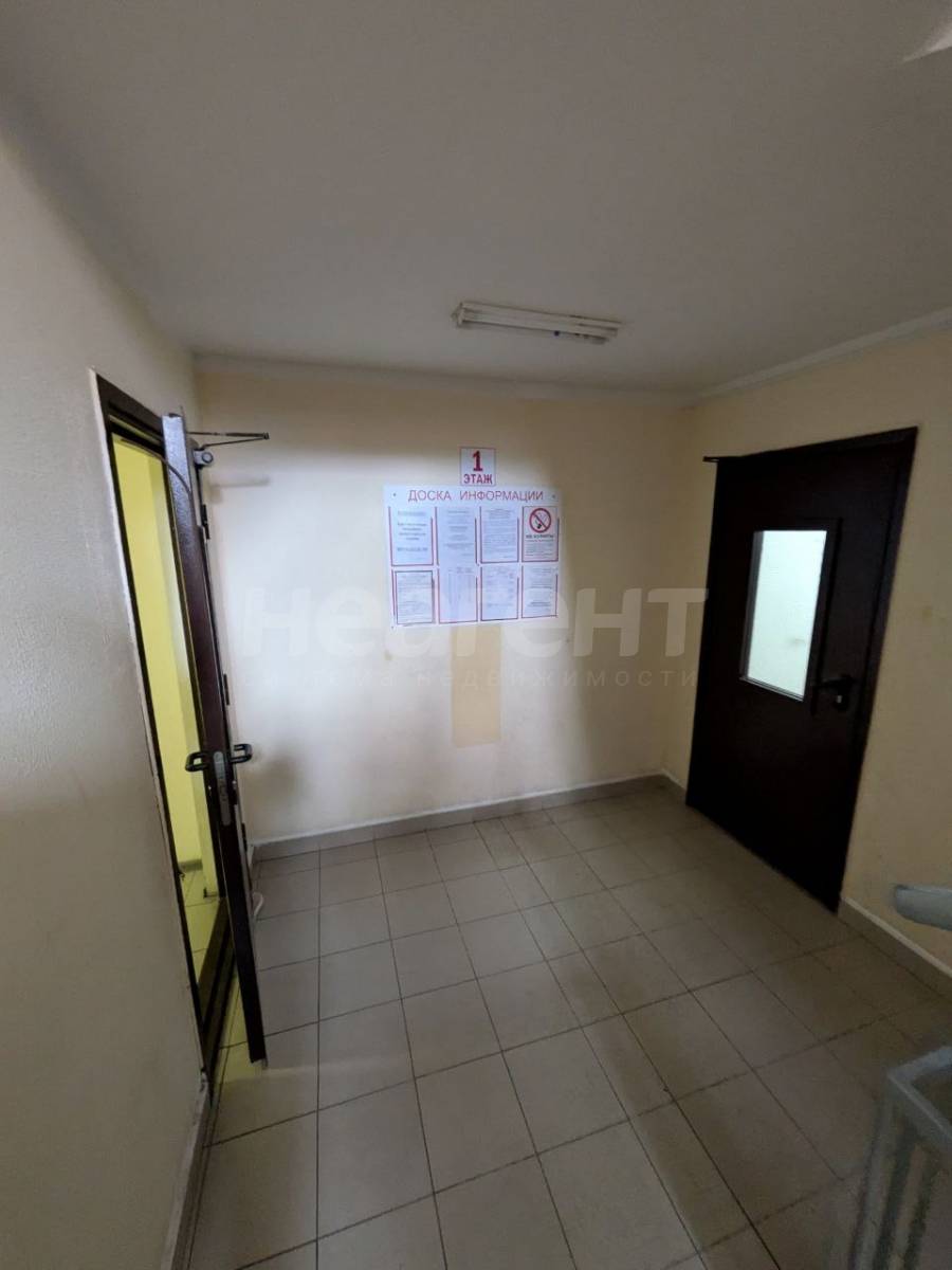 Фотография №7