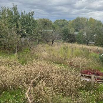 Продается Участок, 400 м²