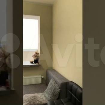 Продается 1-комнатная квартира, 28 м²