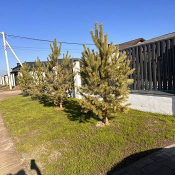 Продается Дом, 130 м²