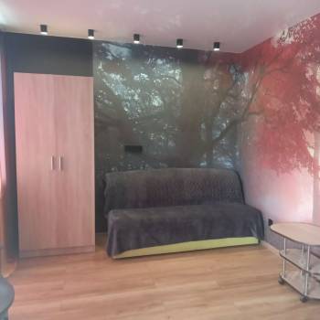 Сдается 1-комнатная квартира, 26 м²