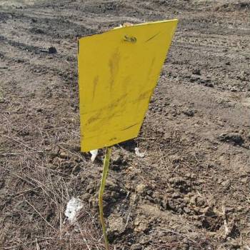 Продается Участок, 800 м²