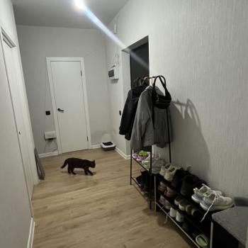 Сдается 2-х комнатная квартира, 54 м²