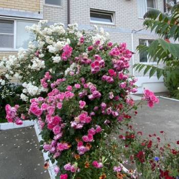 Продается 1-комнатная квартира, 34 м²