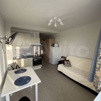 Сдается 1-комнатная квартира, 22,1 м²