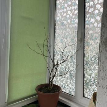 Продается 1-комнатная квартира, 35 м²