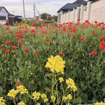 Продается Участок, 580 м²