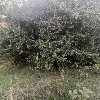 Продается Дом, 50 м²