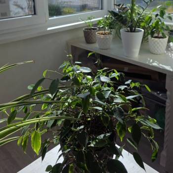 Продается 2-х комнатная квартира, 46 м²