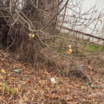 Продается Участок, 600 м²