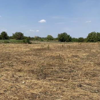 Продается Участок, 5000 м²