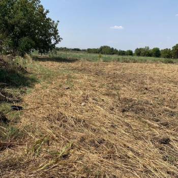 Продается Участок, 5000 м²