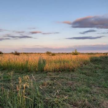 Продается Участок, 1000 м²